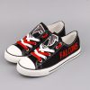 Atlanta Falcons Limited Print Fans Low Top Canvas Sneakers